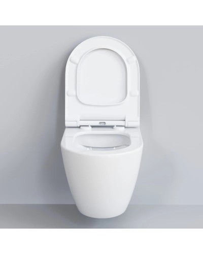 Сиденье для унитаза с микролифтом Ambassador Queen 112T20001S