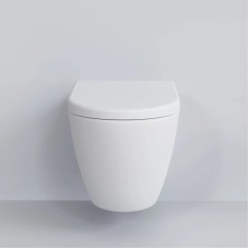 Сиденье для унитаза с микролифтом Ambassador Queen 112T20101