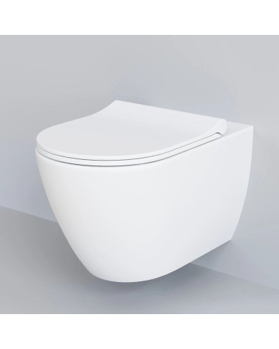 Сиденье для унитаза с микролифтом Ambassador Queen 112T20101S