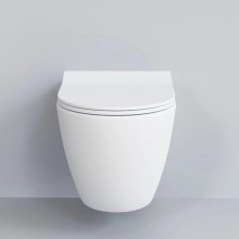 Сиденье для унитаза с микролифтом Ambassador Queen 112T20101S