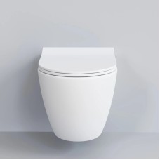 Сиденье для унитаза с микролифтом Ambassador Queen 112T20101S