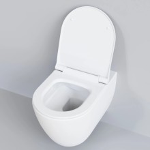 Сиденье для унитаза с микролифтом Ambassador Queen 112T20101S