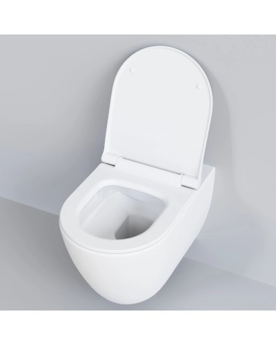 Сиденье для унитаза с микролифтом Ambassador Queen 112T20101S