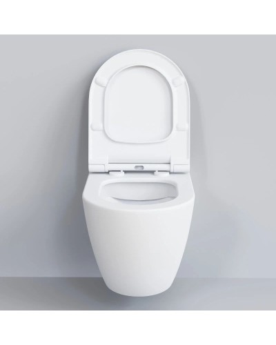 Сиденье для унитаза с микролифтом Ambassador Queen 112T20101S