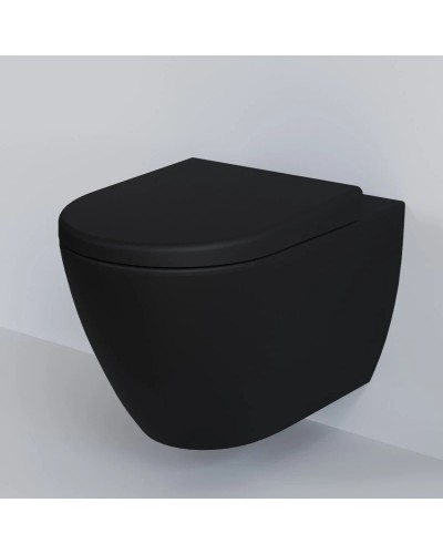 Сиденье для унитаза с микролифтом Ambassador Queen 112T20201