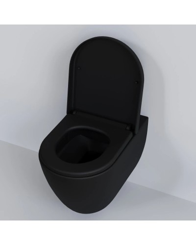 Сиденье для унитаза с микролифтом Ambassador Queen 112T20201