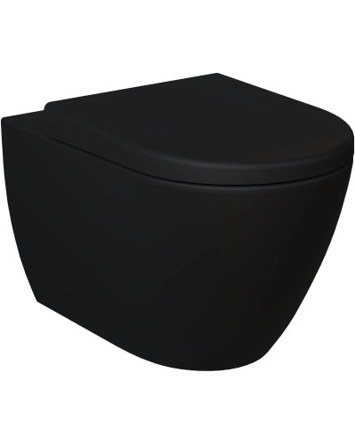 Сиденье для унитаза с микролифтом Ambassador Queen 112T20201