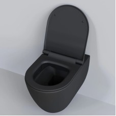 Сиденье для унитаза с микролифтом Ambassador Queen 112T20201S