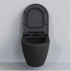 Сиденье для унитаза с микролифтом Ambassador Queen 112T20201S