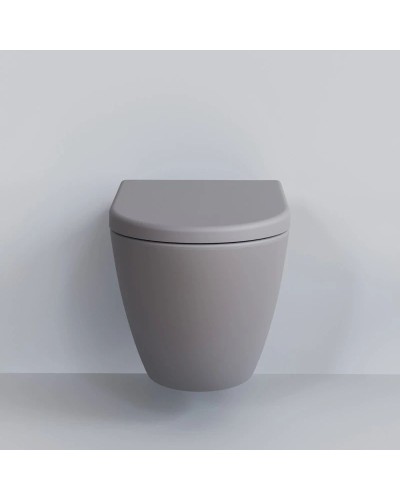 Сиденье для унитаза с микролифтом Ambassador Queen 112T20301