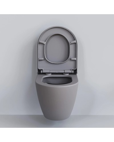 Сиденье для унитаза с микролифтом Ambassador Queen 112T20301