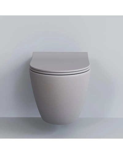 Сиденье для унитаза с микролифтом Ambassador Queen 112T20301S