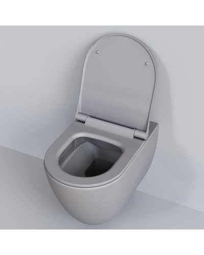 Сиденье для унитаза с микролифтом Ambassador Queen 112T20301S