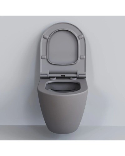 Сиденье для унитаза с микролифтом Ambassador Queen 112T20301S