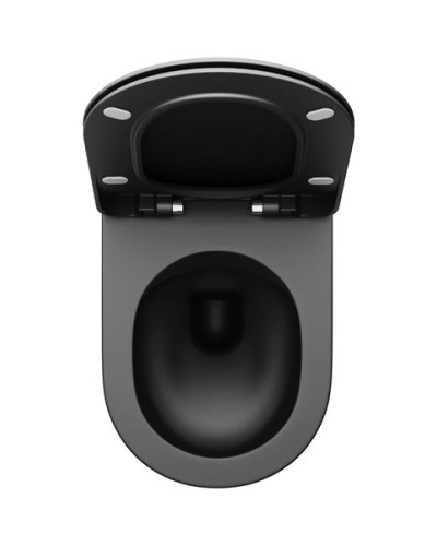 Сиденье для унитаза с микролифтом Ravak Uni Chrome Flat X01795