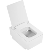 Сиденье для унитаза с микролифтом Cezares Cadro CZR-4823-SC