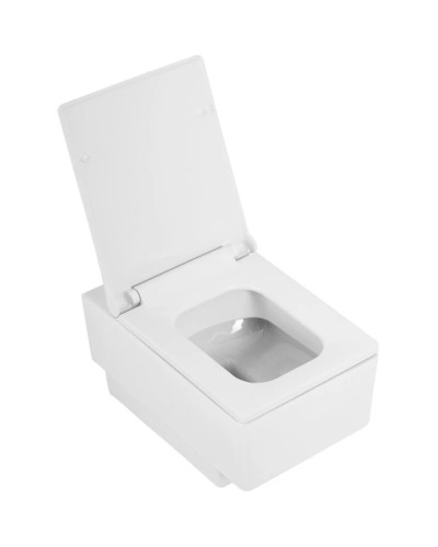 Сиденье для унитаза с микролифтом Cezares Cadro CZR-4823-SC