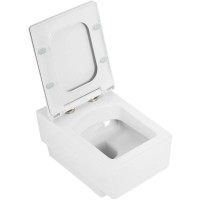 Сиденье для унитаза с микролифтом Cezares Cadro CZR-4823-SC