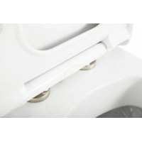 Сиденье для унитаза с микролифтом Cezares Cadro CZR-4823-SC