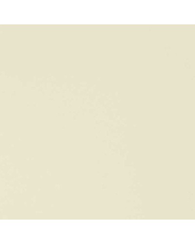 Кухонная мойка Florentina Комби-860К 21.410.D0860.202 Шампань