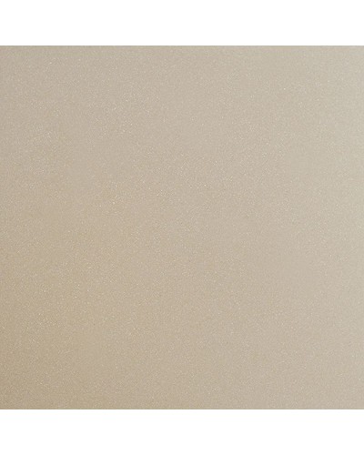 Кухонная мойка Florentina Вега-500 22.320.D0500.305 Грей