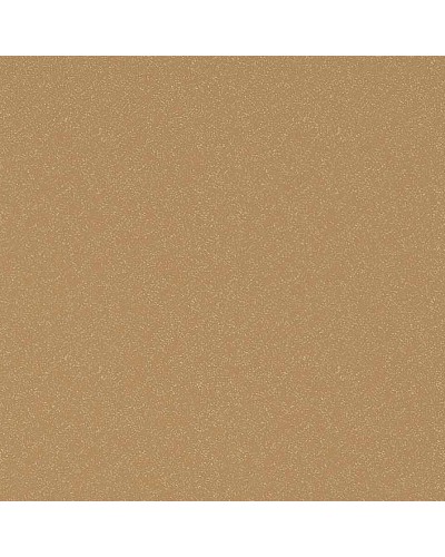 Кухонная мойка Florentina Эльба-555 20.145.C0555.306 Капучино