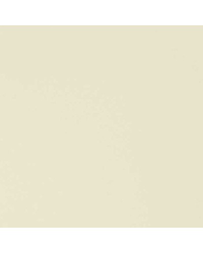 Кухонная мойка Florentina Нире-480 20.190.B0480.202 Шампань