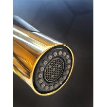 Смеситель для кухни с гибким изливом AltroBagno Flusso 050205 Or