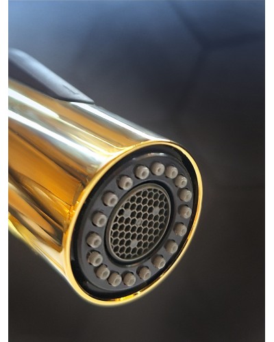 Смеситель для кухни с гибким изливом AltroBagno Flusso 050205 Or