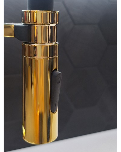 Смеситель для кухни с гибким изливом AltroBagno Flusso 050205 Or