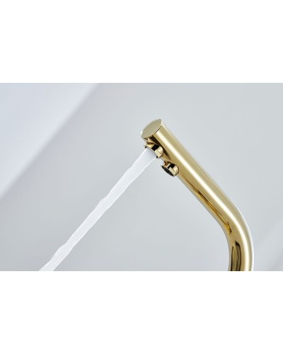 Смеситель для кухни Paulmark Essen Es213011-G Золото