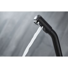 Смеситель для кухни Paulmark Hessen He213017-418 Черный металлик