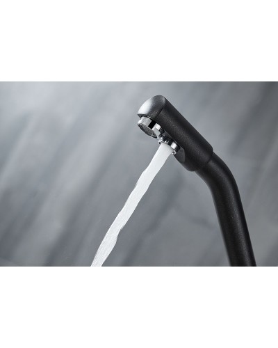 Смеситель для кухни Paulmark Hessen He213017-418 Черный металлик