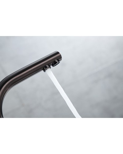 Смеситель для кухни Paulmark Essen Es213011-GM Вороненая сталь