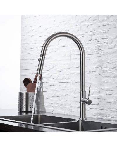 Смеситель для кухни Allen Brau Sprungfeder 5.60002-SS Брашированная сталь