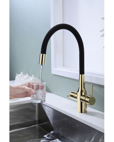 Смеситель для кухни Paulmark Salix Sa213419-G Золото