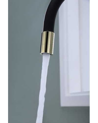 Смеситель для кухни Paulmark Salix Sa213419-G Золото