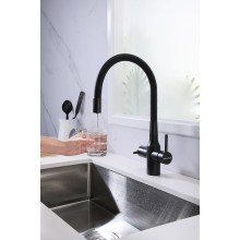 Смеситель для кухни Paulmark Salix Sa213419-418 Черный металлик