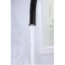 Смеситель для кухни Paulmark Salix Sa213419-418 Черный металлик