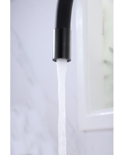 Смеситель для кухни Paulmark Salix Sa213419-418 Черный металлик