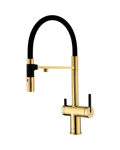 Смеситель для кухни Paulmark Gravity Gr213188-G Золото Черный