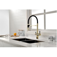 Смеситель для кухни Paulmark Gravity Gr213188-G Золото Черный