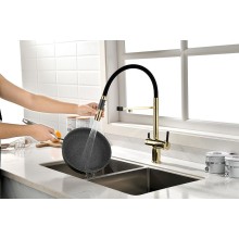 Смеситель для кухни Paulmark Gravity Gr213188-G Золото Черный