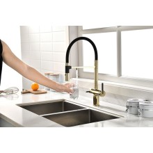 Смеситель для кухни Paulmark Gravity Gr213188-G Золото Черный