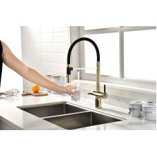 Смеситель для кухни Paulmark Gravity Gr213188-G Золото Черный