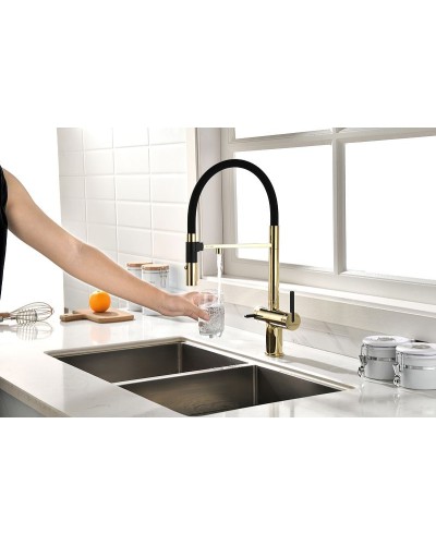 Смеситель для кухни Paulmark Gravity Gr213188-G Золото Черный