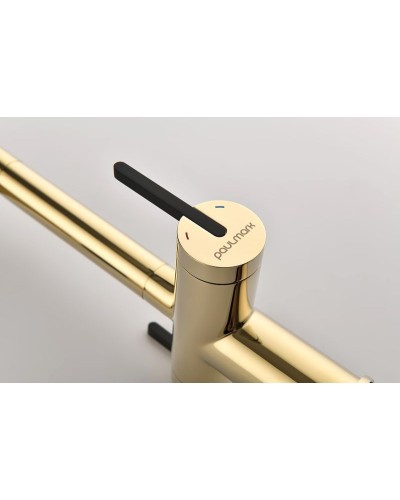 Смеситель для кухни Paulmark Gravity Gr213188-G Золото Черный