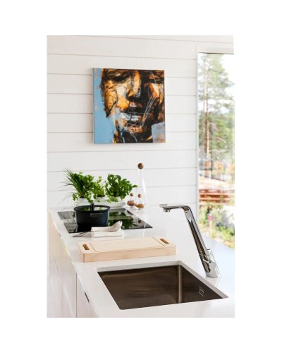 Смеситель для кухни Oras Alessi 8725F