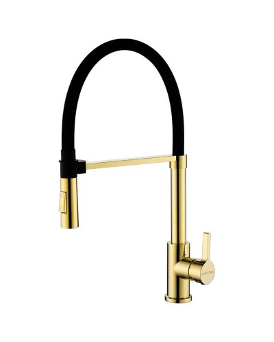 Смеситель для кухни Paulmark Halt HA214021-G