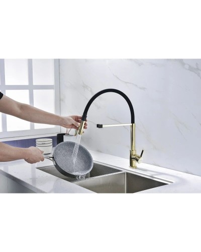 Смеситель для кухни Paulmark Halt HA214021-G